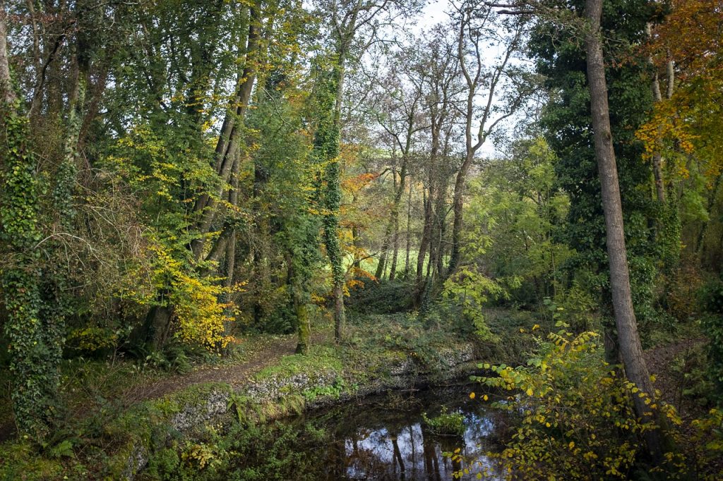 Ballincollig Regional Park, Cork