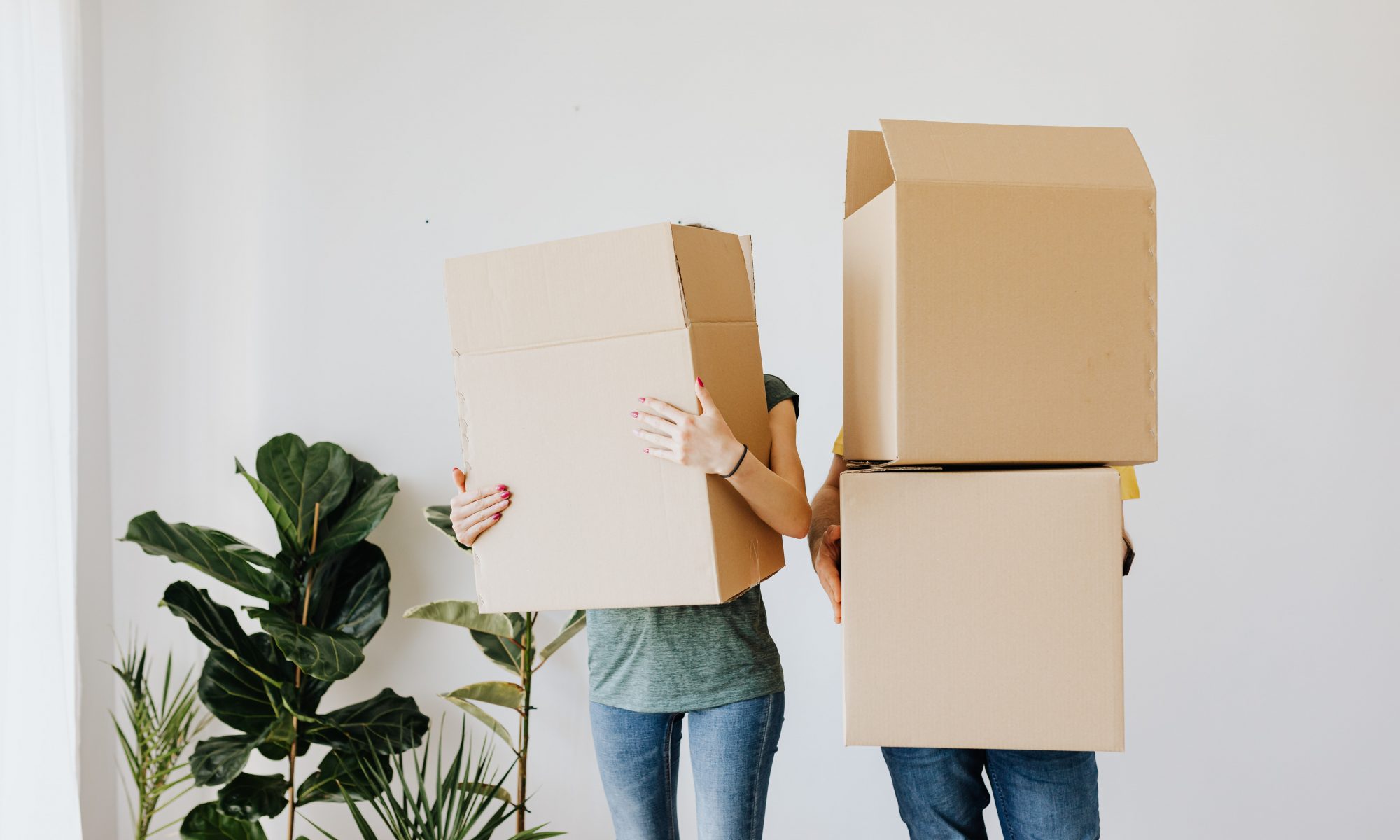 moving out of home renting tips homehak boxes plant couple