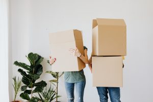 moving out of home renting tips homehak boxes plant couple